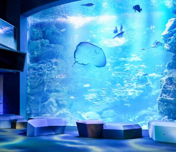 ♡京都水族館♡ 画像